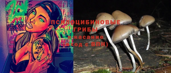первитин Алексеевка