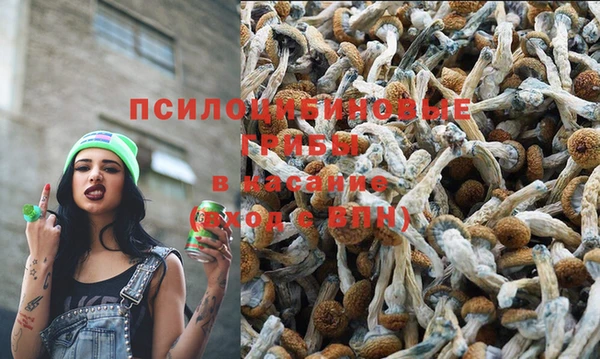 спиды Алзамай