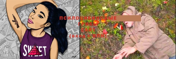 первитин Алексеевка