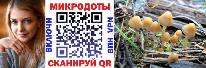 Галлюциногенные грибы GOLDEN TEACHER  Мамоново 